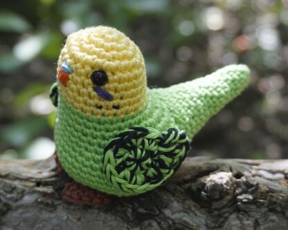 Crochet Pattern Budgie Baby Kiwi!