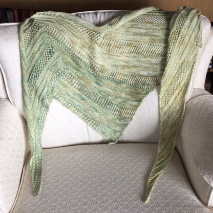 Caprius shawl