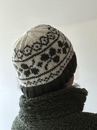 Family Shamrock Hats