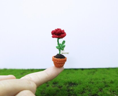 Miniature potted rose