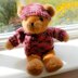 Teddy in Pink