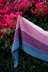 Bi the Way Scarf