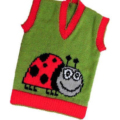 Ladybird (ladybug) sweater