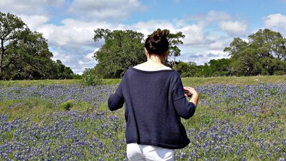 Bluebonnet