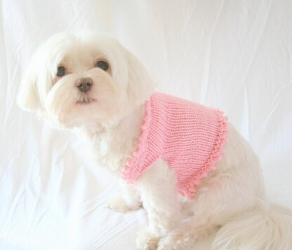 P01 Fancy Dog Sweater