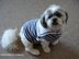 Crochet Pattern dog coats  #247