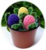 Hyacinth Flowers - Creme Egg Covers