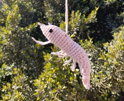 Crochet Shrimp