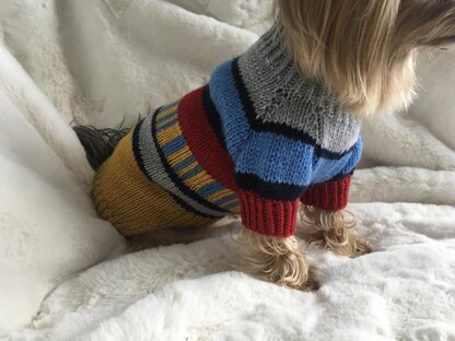 Colored Dog or Cat Sweater