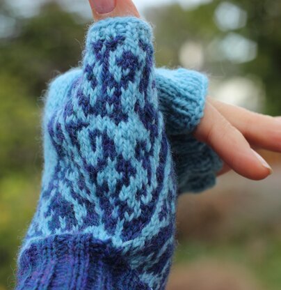 Dancing Dolphin Mitts