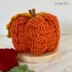 Crochet Cable Pumpkin Pattern & Beginner’s Guide