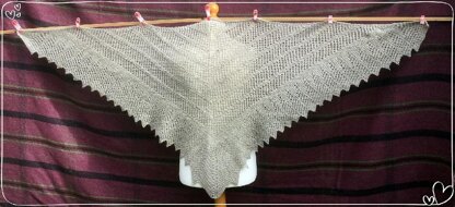 Dizzy's Leicester Shawl