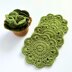 Succulent Plant Coasters