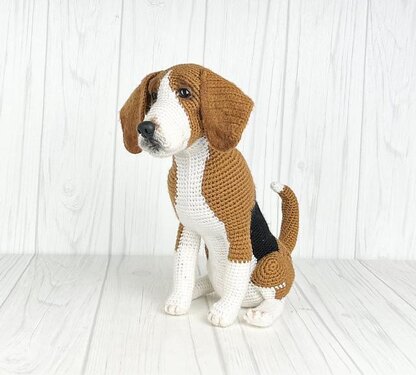 Beagle Dog