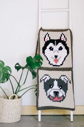 C2C Husky / Malamute Dog Blanket Square