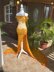 Butterfly Gown