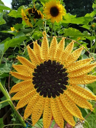 Sunflower Dreamcatcher Mandala