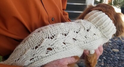 Wavy Ribbon Mini-Doxie Sweater