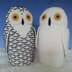 Snowy Owls