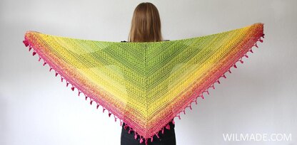 Lovely Luisa shawl