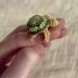 Sea Turtle Sweetie