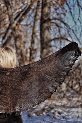 The Moonlit Shawl