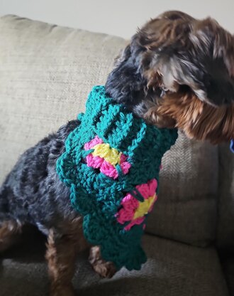 Boho Turtleneck Pet Bandana