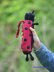 Ladybird Umbrella Case