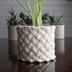 Plant Cozy : Lattice