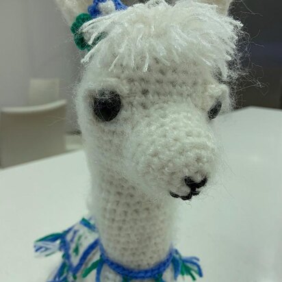 Llana the Llama