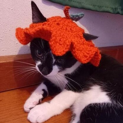 Crochet halloween pumpkin hat for cats