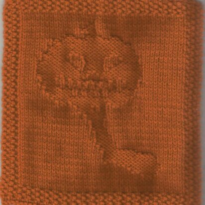 Headless Horseman Dishcloth Pattern