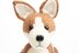 Pembroke Welsh Corgi in Deramores Studio DK - Downloadable PDF