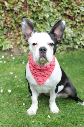 Roxy's Dog Bandana