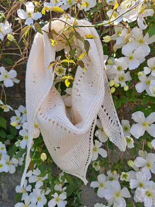 Little Seagull Shawl