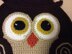 Hot Air Balloon Owl Wall hanging or blanket applique