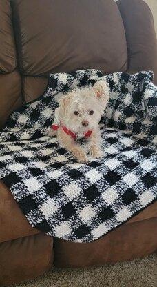 Crochet Gingham Throw Blanket