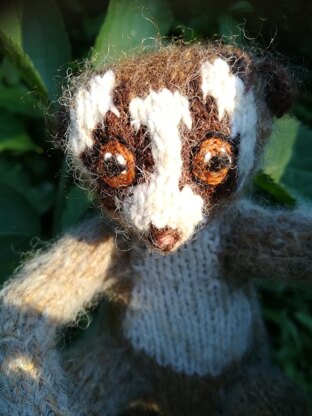 Slow loris