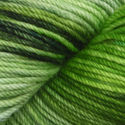 Dream in Color Yarn at WEBS