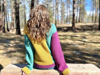 Apricity Color Block Sweater