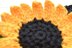 Sunflower Headband