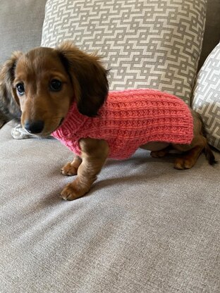 Dog Waffle Stitch Sweater