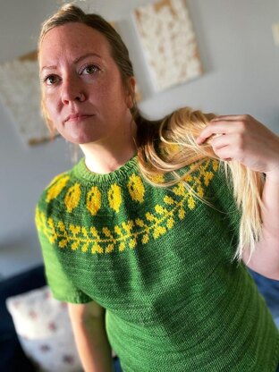 Lemonjelly Sweater