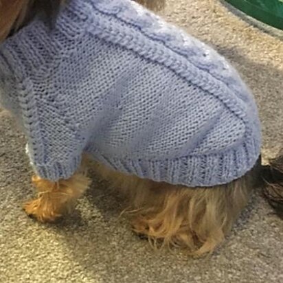 Sky Blue Dog Sweater