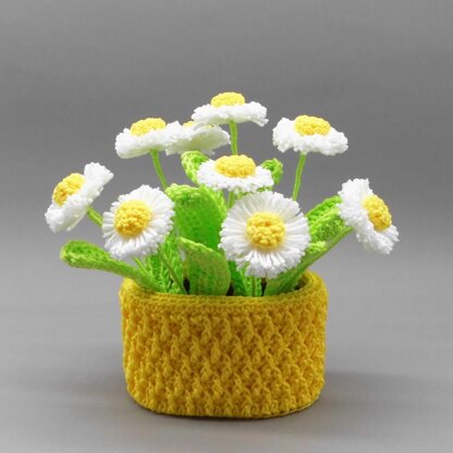 Daisies flower decoration