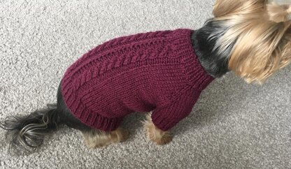 Plum Dog Sweater