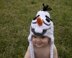 Olaf Frozen Hat