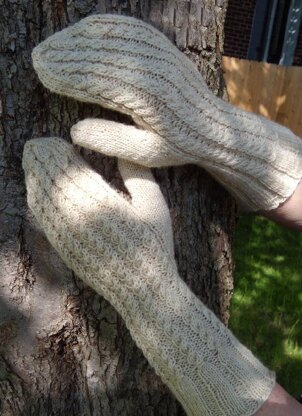 Twisted Trails Cabled Mittens
