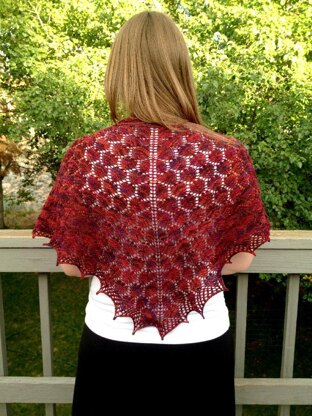 Stormborn Shawl