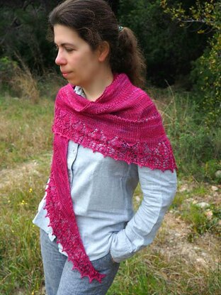 Edelwicke Shawl